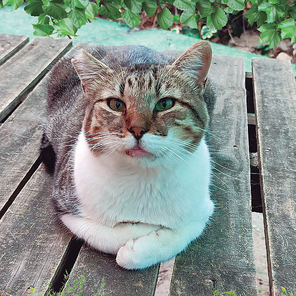 Generic placeholder image