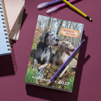 agenda solidaria de perros 2027