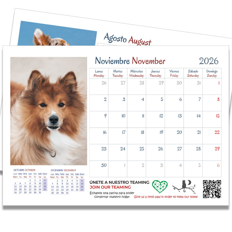 <strong>Calendario 2026</strong> Perros - Imagen 3
