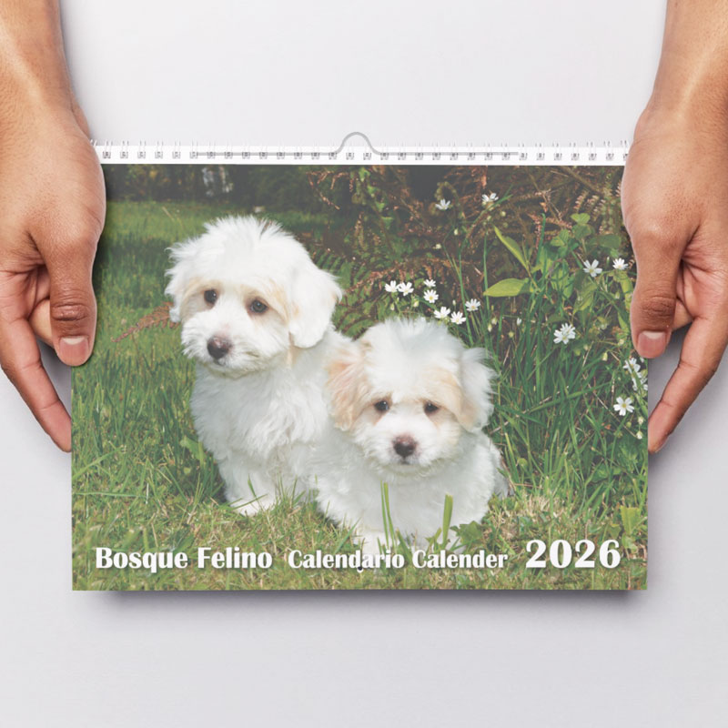 <strong>Calendario 2026</strong> Perros - Imagen 2