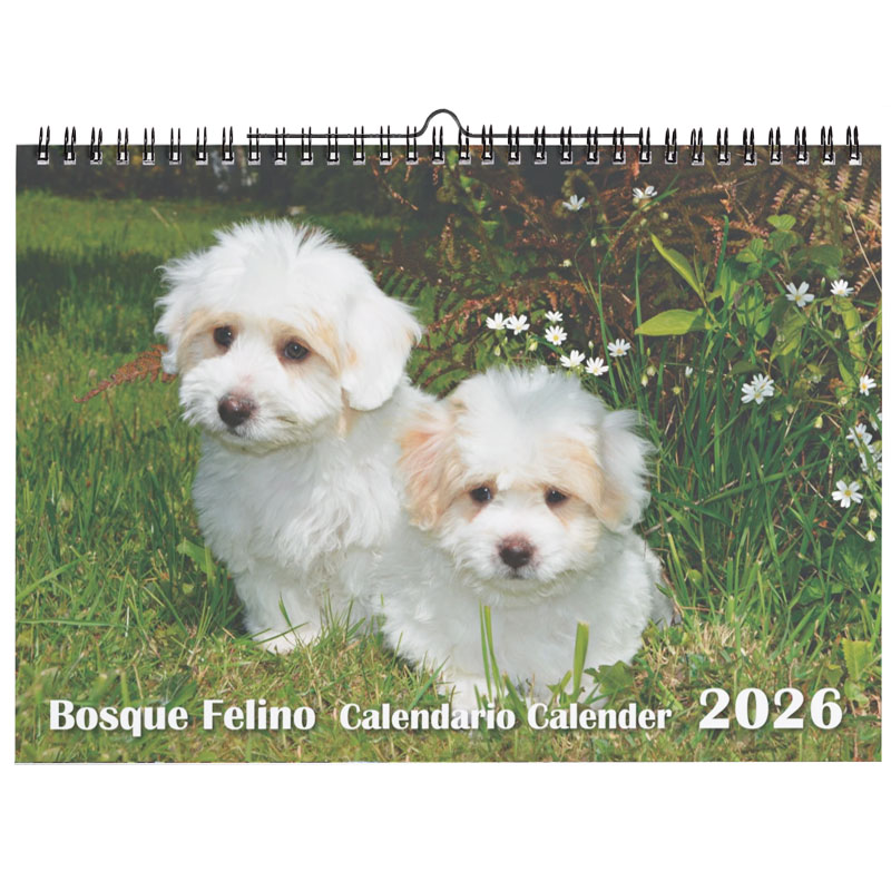<strong>Calendario 2026</strong> Perros