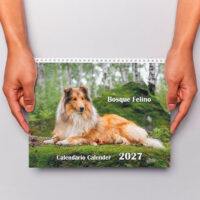 <strong>Calendario 2027</strong> Perros