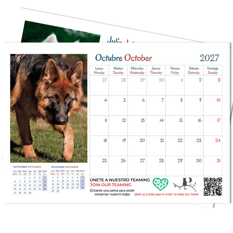 <strong>Calendario 2027</strong> Perros - Imagen 2