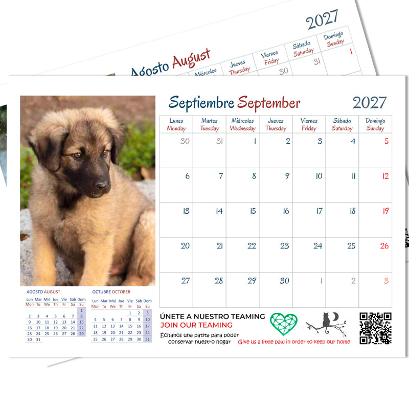 <strong>Calendario 2027</strong> Perros - Imagen 3