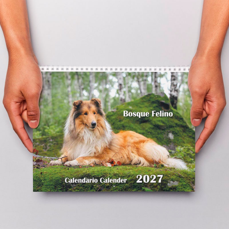 <strong>Calendario 2027</strong> Perros