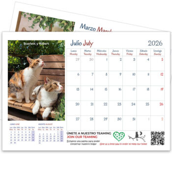 <strong>Calendario 2026</strong> Gatos - Imagen 4