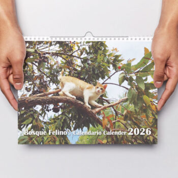<strong>Calendario 2026</strong> Gatos - Imagen 2