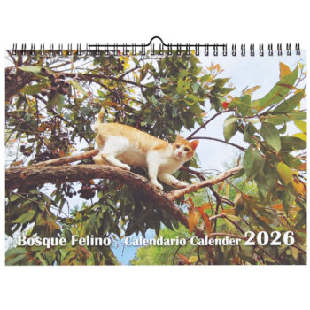 <strong>Calendario 2026</strong> Gatos