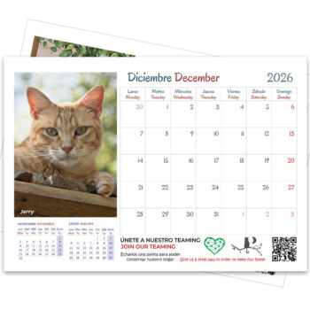<strong>Calendario 2026</strong> Gatos - Imagen 3