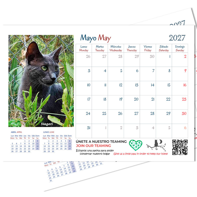 <strong>Calendario 2027</strong> Gatos - Imagen 3