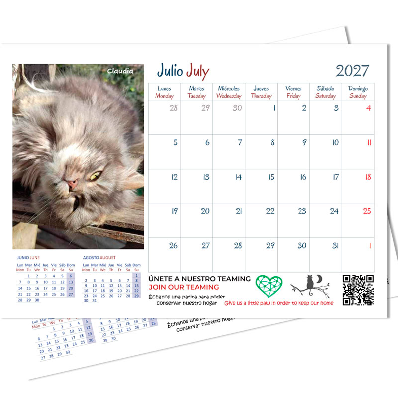 <strong>Calendario 2027</strong> Gatos - Imagen 2