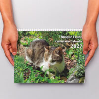 <strong>Calendario 2027</strong> Gatos