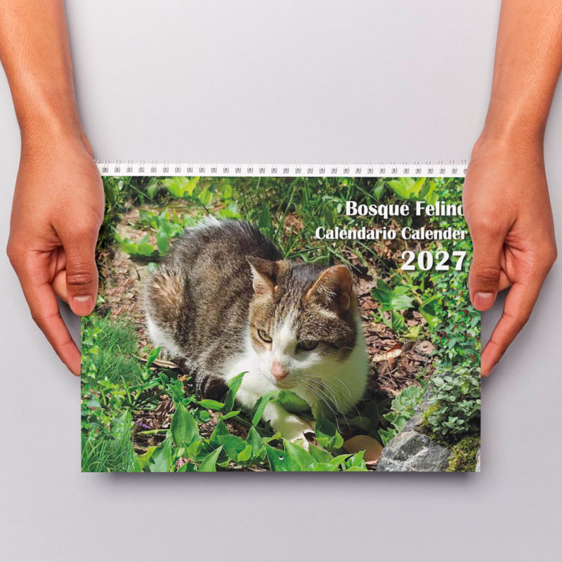 <strong>Calendario 2027</strong> Gatos