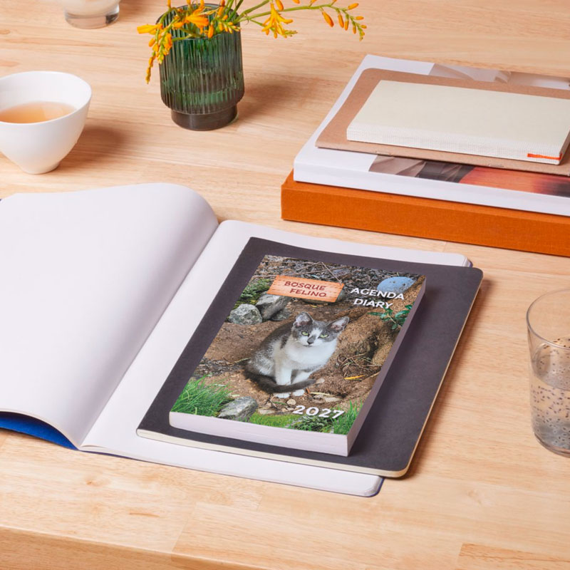 <strong>Agenda solidaria 2027</strong> Gatos - Imagen 2