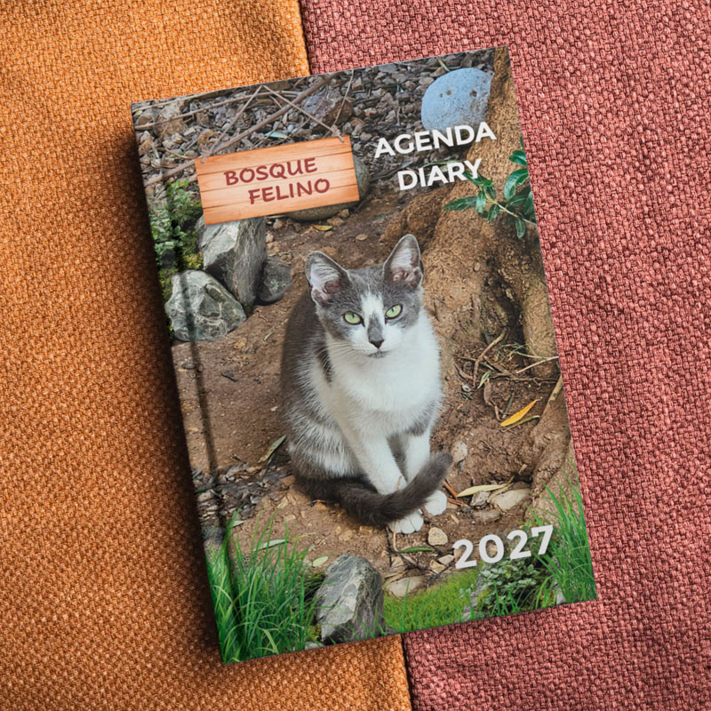 <strong>Agenda solidaria 2027</strong> Gatos
