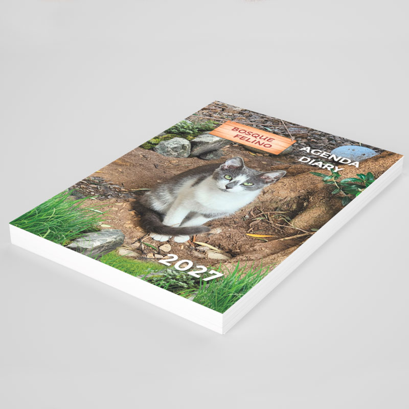 <strong>Agenda solidaria 2027</strong> Gatos - Imagen 3