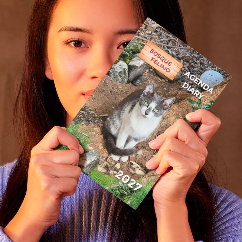 <strong>Agenda solidaria 2027</strong> Gatos - Imagen 6