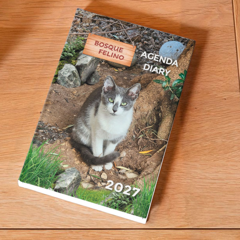 <strong>Agenda solidaria 2027</strong> Gatos - Imagen 7