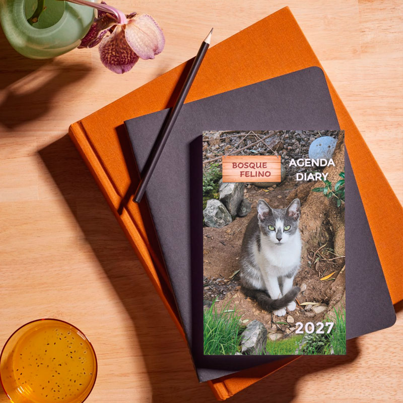 <strong>Agenda solidaria 2027</strong> Gatos - Imagen 8