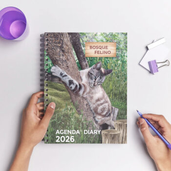 <strong>Agenda 2026</strong> Gatos - Imagen 3
