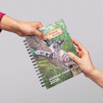 <strong>Agenda 2026</strong> Gatos - Imagen 2