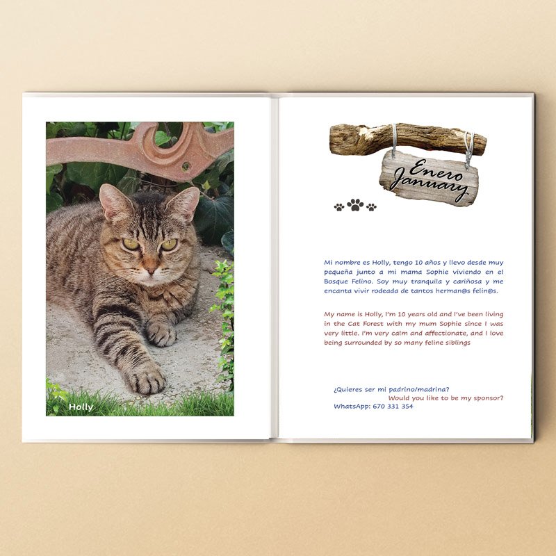 <strong>Agenda solidaria 2027</strong> Gatos - Imagen 4