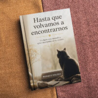 <strong>Hasta que volvamos a encontrarnos</strong>